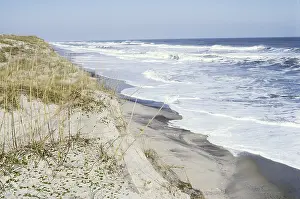 Natural Prints: Beach and dune erosion, North Carolina