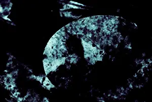 Bacteria Prints: Bioluminescence