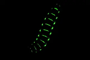 Beetle Prints: Bioluminescent Railroad Worm