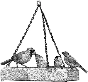 Kind Prints: Birds At Birdfeeder