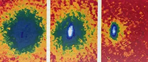 Atom Prints: Bose-Einstein Condensate