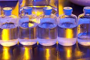 Research Prints: Bottles of Reagents