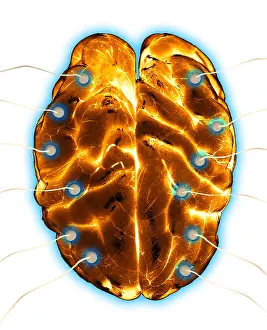 Electroencephalography Prints: Brain EEG