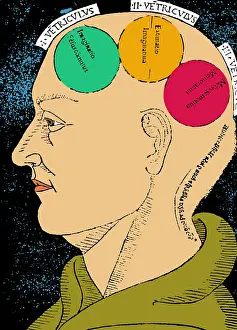 Bishop Prints: Brain Functions, Albertus Magnus Woodcut