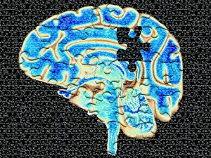 Concept Prints: Brain Puzzle