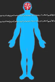 Wave Prints: Brainwave illustration
