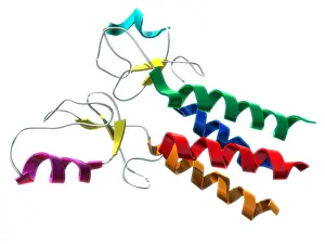 Mutation Prints: BRCA1, Molecular Model