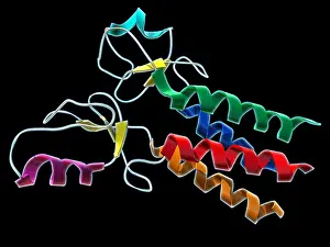 Mutation Prints: BRCA1, Molecular Model