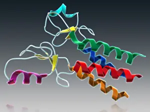 Genetics Prints: BRCA1, Molecular Model