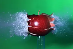 Apple Prints: Bullet Hitting an Apple