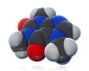 Atom Prints: Caffeine Molecular Model