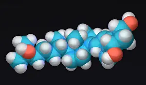 Atom Prints: Calcitriol
