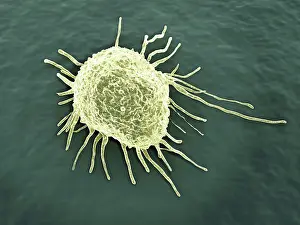 Many Science & Medical Prints: Cancer cell, artwork