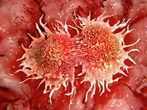 Pathological Prints: Cancer cells dividing, artwork