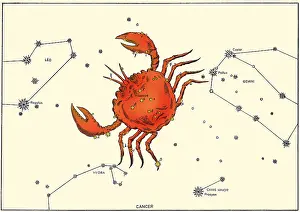 Asterism Prints: Cancer Constellation, 1603