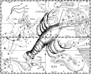 Asterism Prints: Cancer Constellation, Zodiac Sign, Hevelius