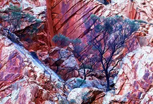Nature Prints: Canyonlands, Australian Outback