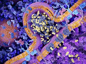 Tumor Prints: CAR T-cell Immunotherapy