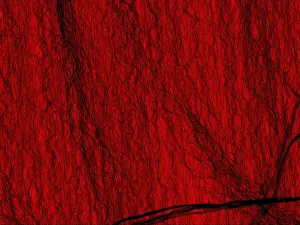 Scale Prints: Carbon Nanotubes