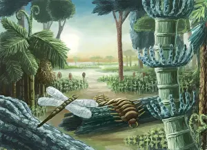 Fern Prints: Carboniferous Landscape, Artwork