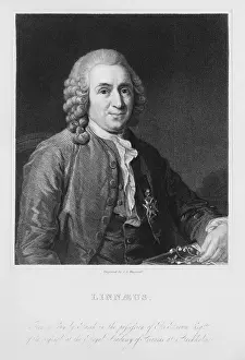Swedish Prints: Carl Linnaeus, Swedish Botanist