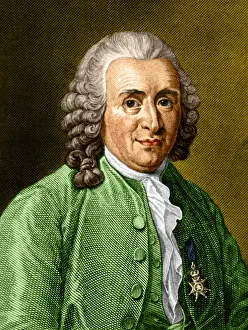 Trending: Carl Linnaeus, Swedish Botanist, Invented Taxonomy, Naming of Biological Organisms
