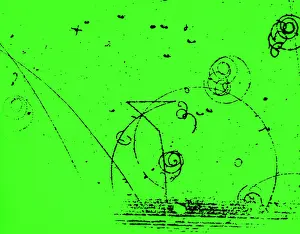Subatomic Prints: Catalyzed Nuclear Reaction in Bubble Chamber