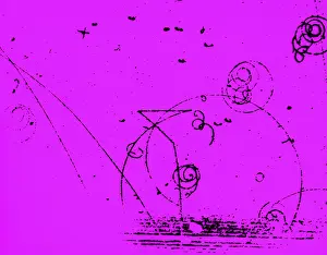 Subatomic Prints: Catalyzed Nuclear Reaction in Bubble Chamber