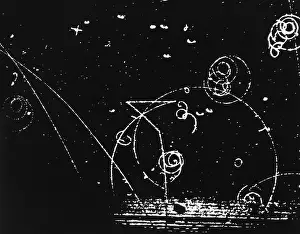 Subatomic Prints: Catalyzed Nuclear Reaction in Bubble Chamber