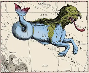 Asterism Prints: Cetus Constellation, Hevelius, 1687