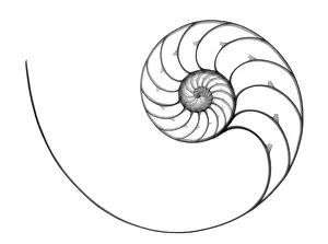 Spirals Prints: Chambered Nautilus