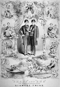Lithographs Prints: Chang and Eng Bunker, The Original Siamese Twins