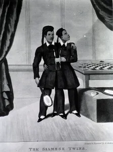 Lithographs Prints: Chang and Eng Bunker, The Original Siamese Twins