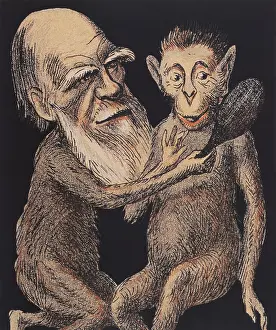Selective Prints: Charles Darwin Caricature