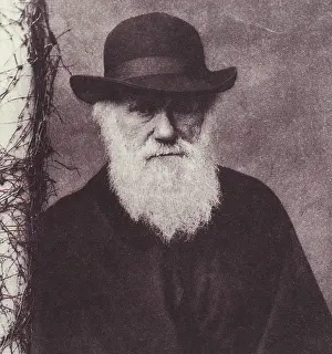 Selective Prints: Charles Darwin, English Naturalist, 1881