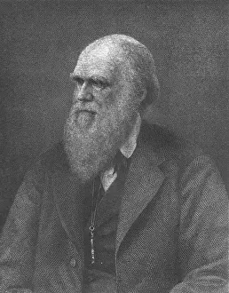 Selective Prints: Charles Darwin, English Naturalist