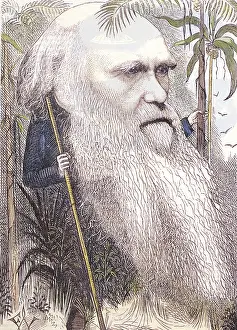 Selective Prints: Charles Darwin, English Naturalist