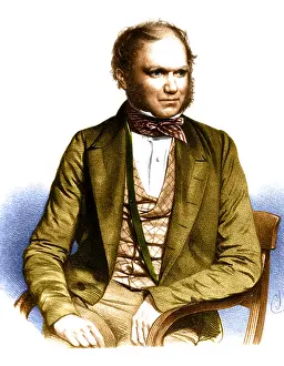 Selective Prints: Charles Darwin, English Naturalist