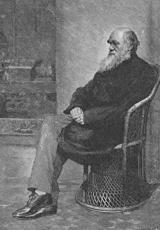 Selective Prints: Charles Darwin, English Naturalist