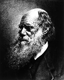 Selective Prints: Charles Darwin, English Naturalist