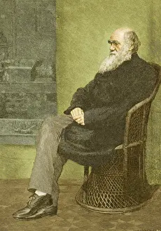 Selective Prints: Charles Darwin, English Naturalist