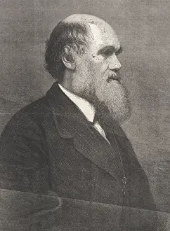 Selective Prints: Charles Darwin, English Naturalist
