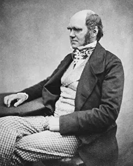 Selective Prints: Charles Darwin, English Naturalist