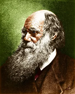 Selective Prints: Charles Darwin, English Naturalist