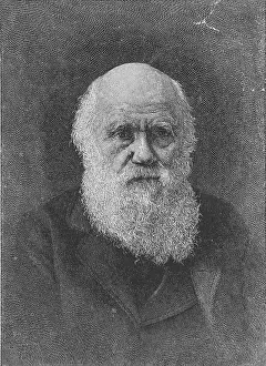 Selective Prints: Charles Darwin, English Naturalist
