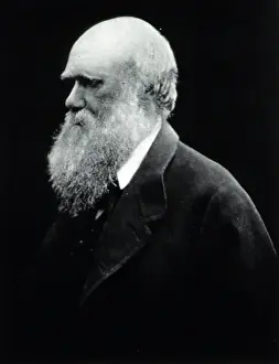 Origin Prints: Charles Darwin, English Naturalist
