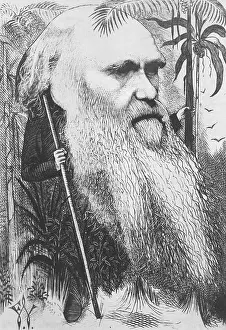 Selective Prints: Charles Darwin, English Naturalist