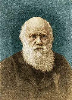 Selective Prints: Charles Darwin, English Naturalist
