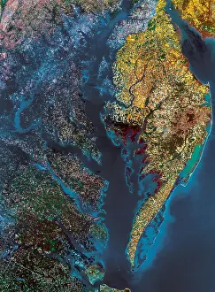 Best Sellers Part II Prints: Chesapeake Bay