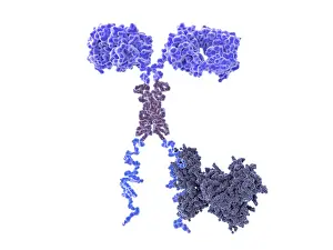 Tumor Prints: Chimeric antigen receptor (CAR)